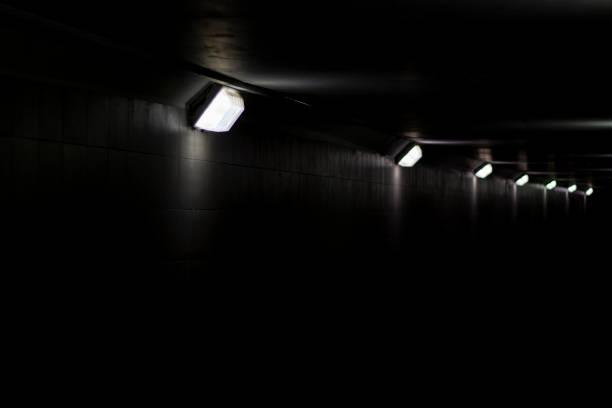 Image 3 for LED Wall Packs