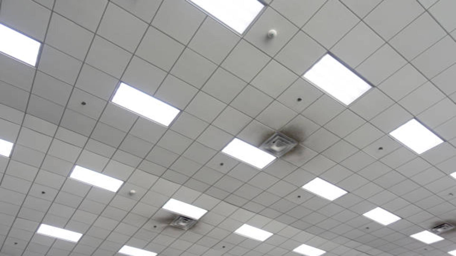 A bright, modern office space with square LED panel lights in the ceiling.